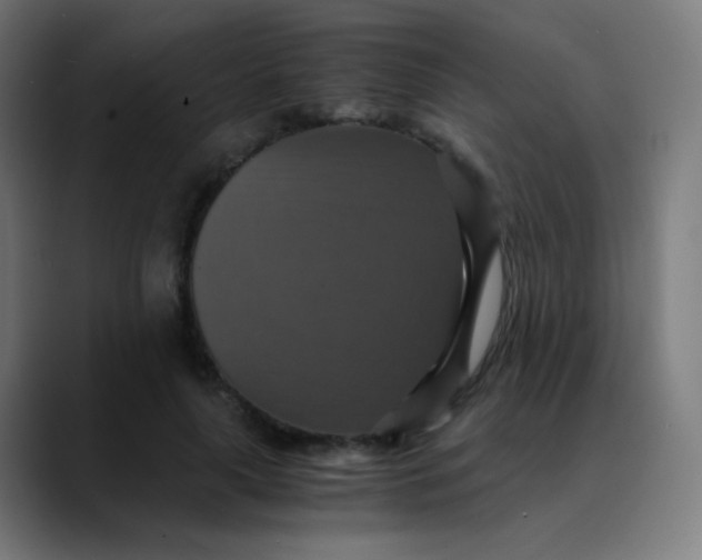X0000089730643200707121450