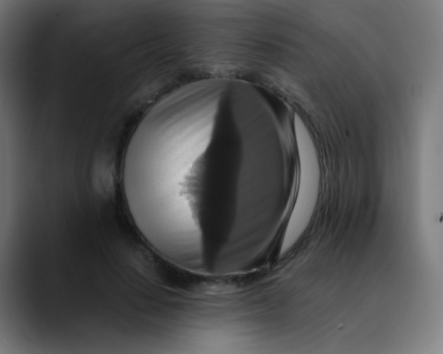 X0000089730644200707121450