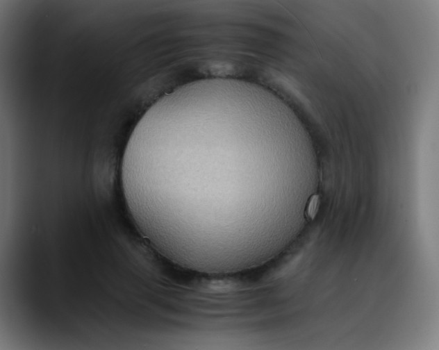 X0000089730645200707121450