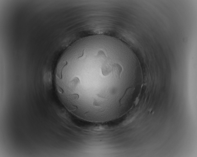 X0000089730646200707121450