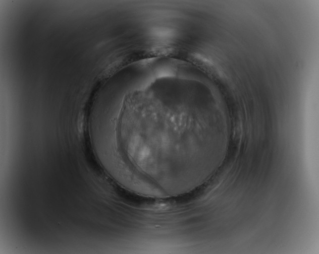 X0000089730647200707121450