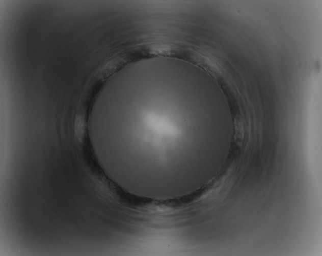 X0000089730648200707121450