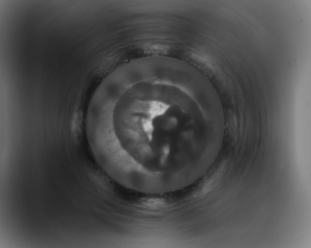 X0000089730649200707121450