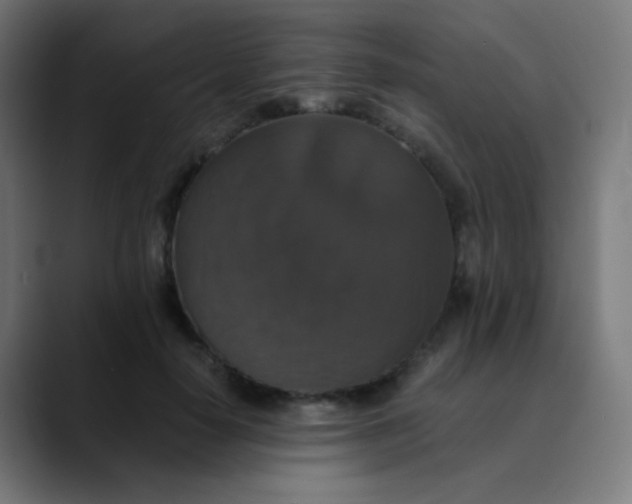 X0000089730650200707121450