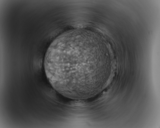 X0000089730652200707121450