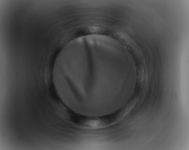X0000089730653200707121450