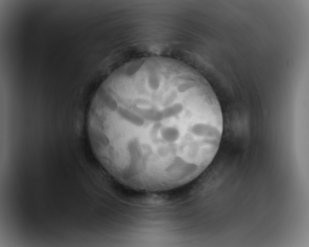 X0000089730656200707121450