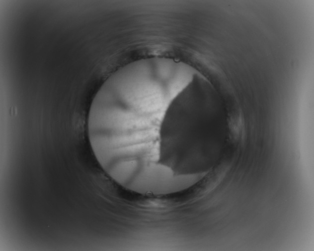X0000089730657200707121450