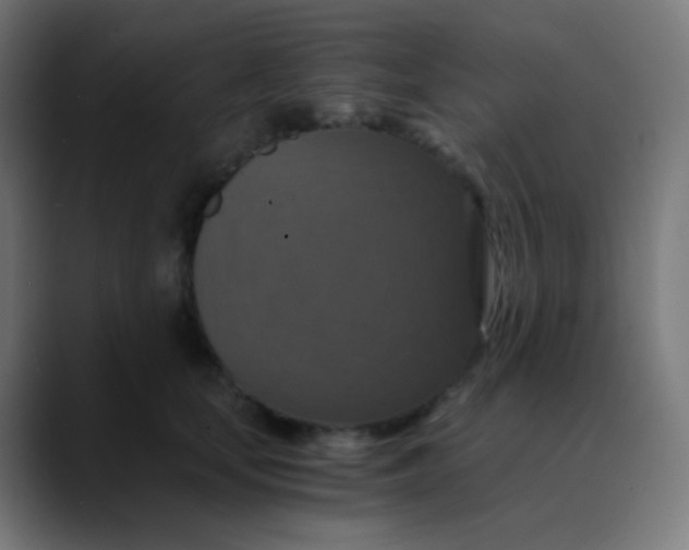 X0000089730659200707121450