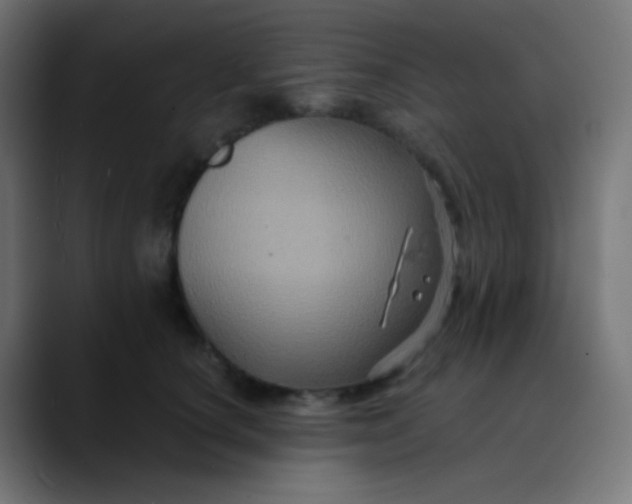 X0000089730660200707121450