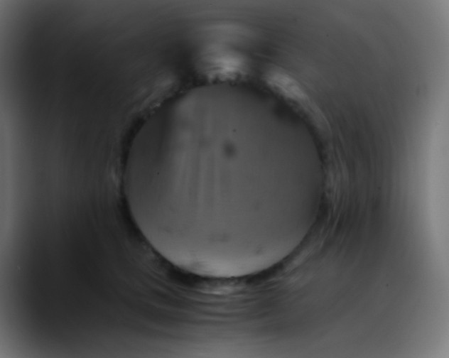 X0000089730661200707121450