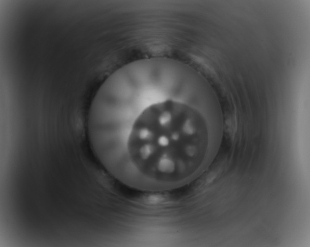 X0000089730662200707121450