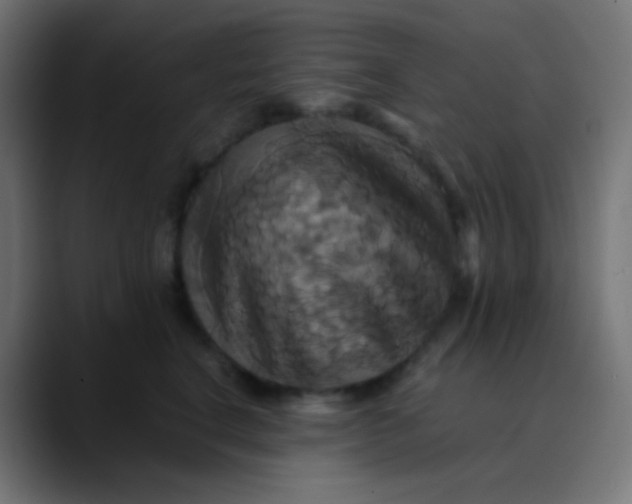 X0000089730664200707121450