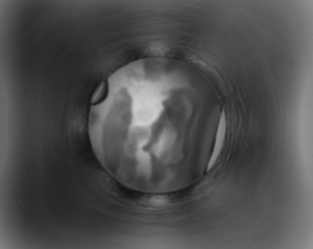 X0000089730665200707121450