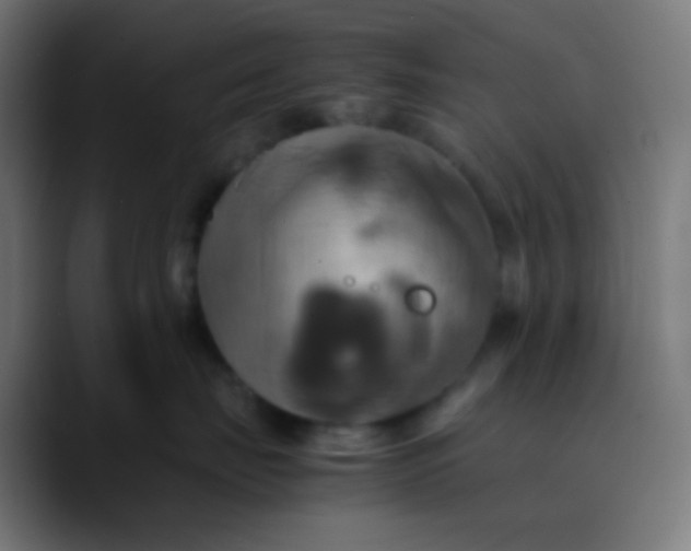 X0000089730671200707121450