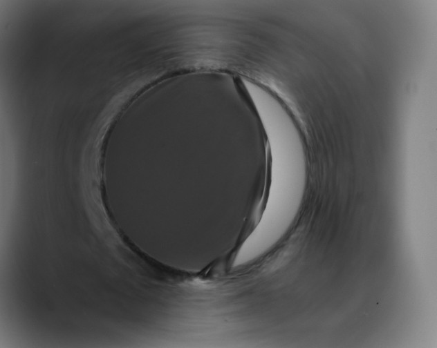 X0000089730673200707121449