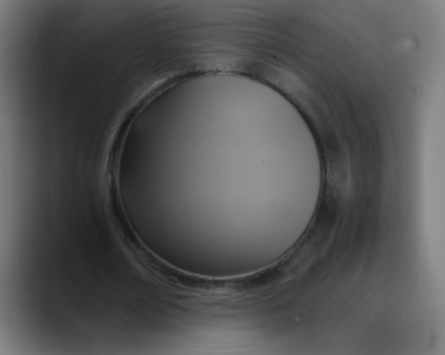 X0000089730674200707121449
