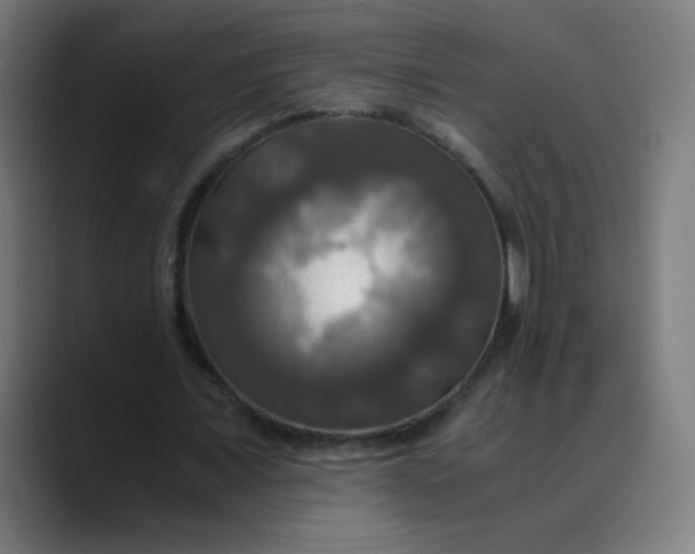 X0000089730675200707121449