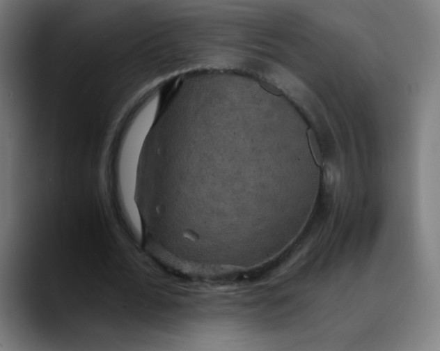 X0000089730676200707121449