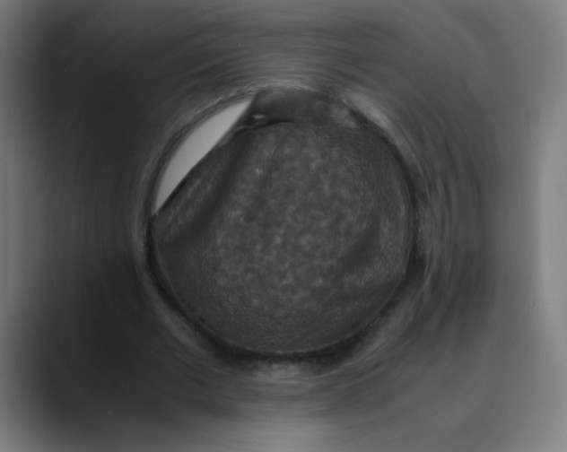 X0000089730677200707121449