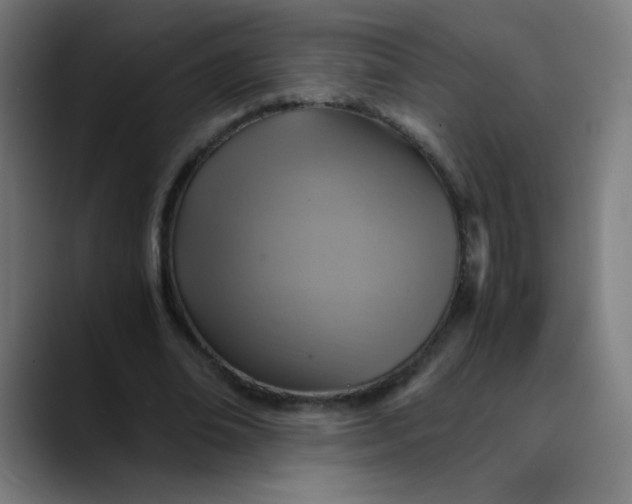 X0000089730678200707121449