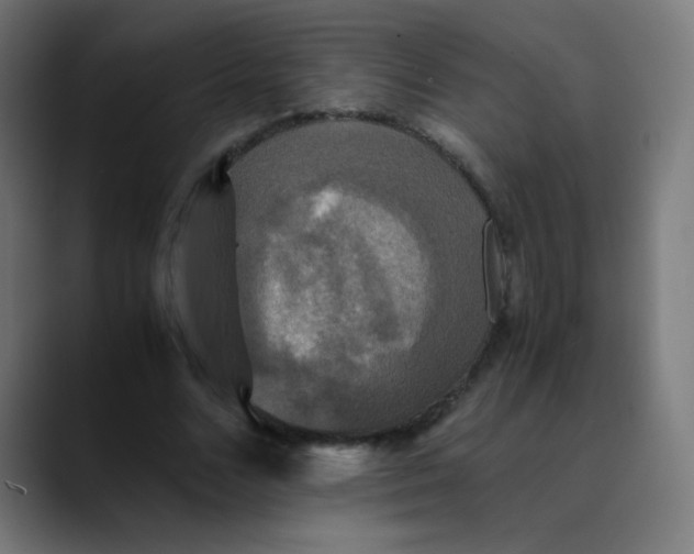 X0000089730680200707121449