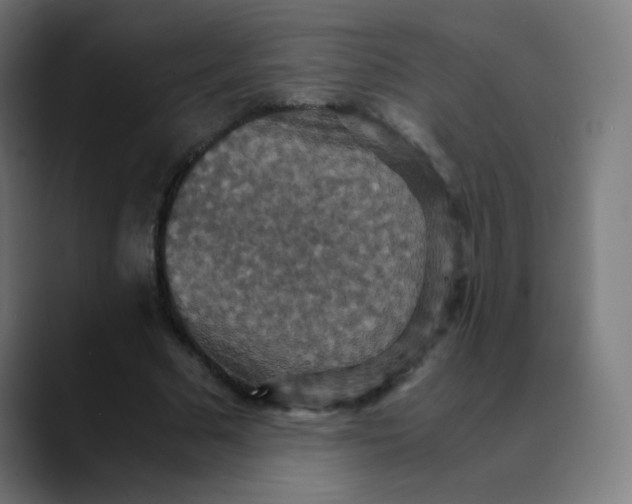 X0000089730681200707121449