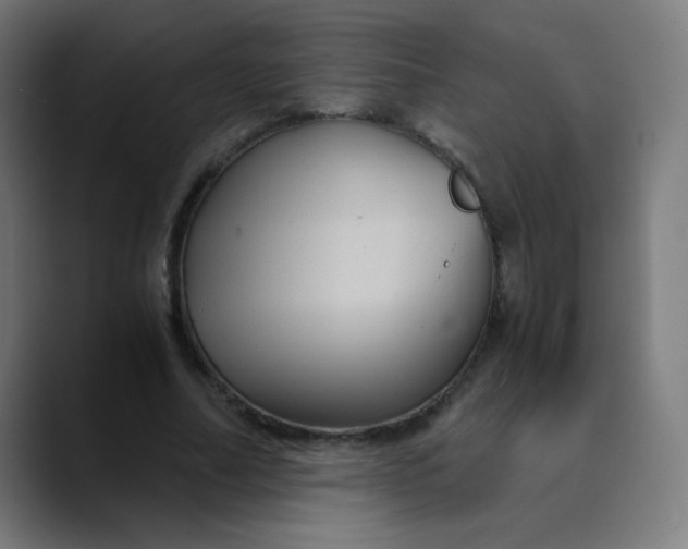 X0000089730682200707121449