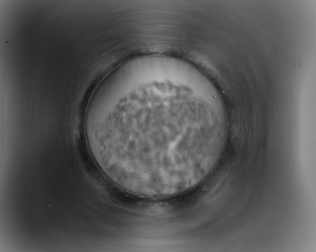 X0000089730683200707121449