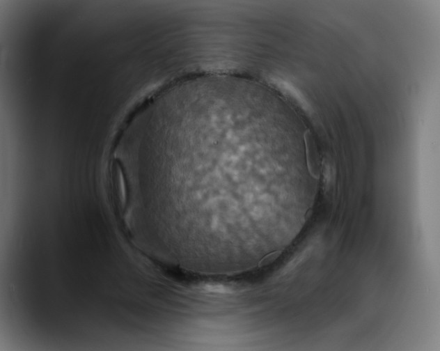 X0000089730684200707121449