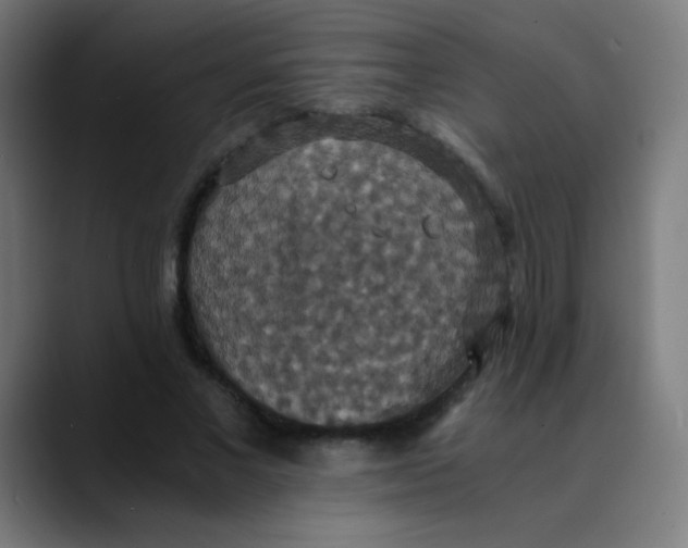X0000089730685200707121449
