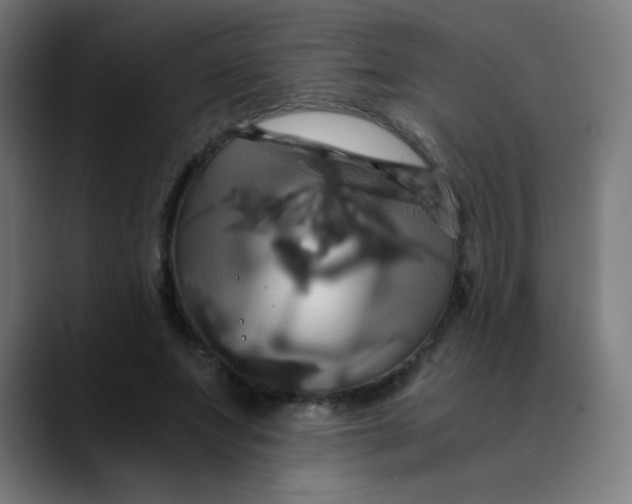 X0000089730687200707121449