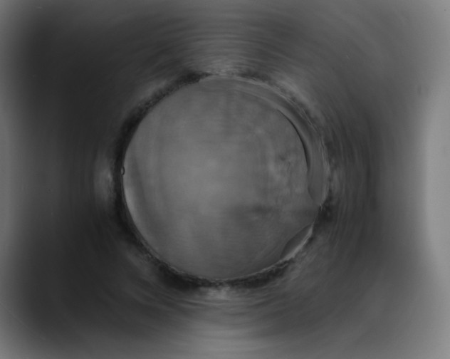 X0000089730688200707121449