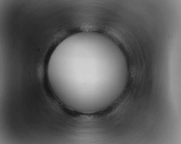 X0000089730690200707121449