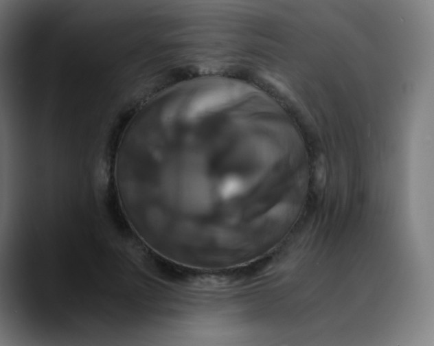 X0000089730691200707121449