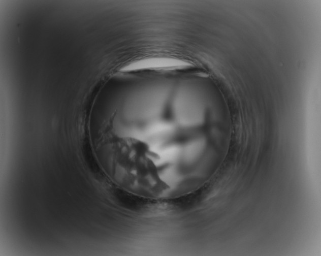 X0000089730695200707121449