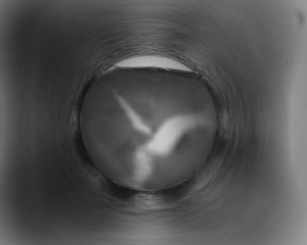 X0000089730699200707121449
