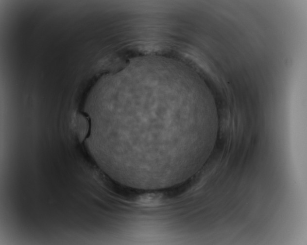 X0000089730700200707121449