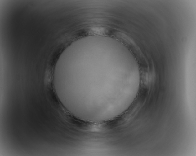 X0000089730701200707121449