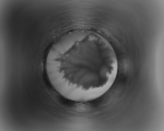 X0000089730703200707121449