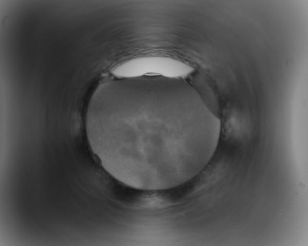 X0000089730704200707121449