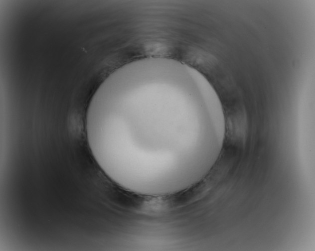 X0000089730705200707121449