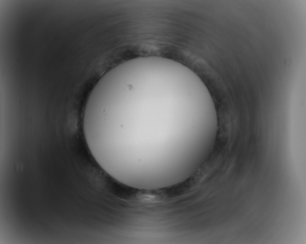 X0000089730706200707121449