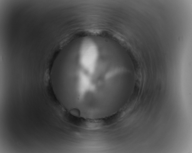 X0000089730707200707121449