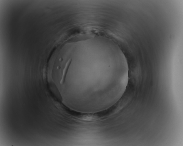 X0000089730708200707121449