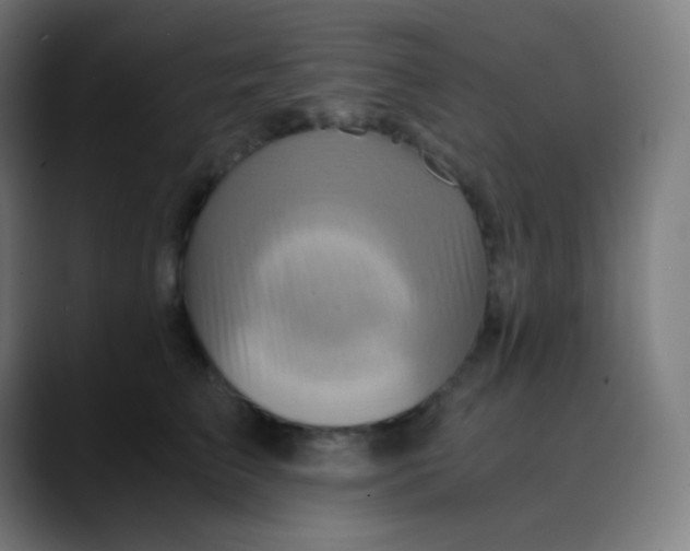 X0000089730709200707121449