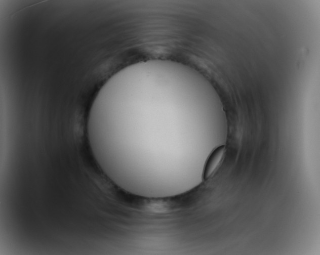X0000089730710200707121449