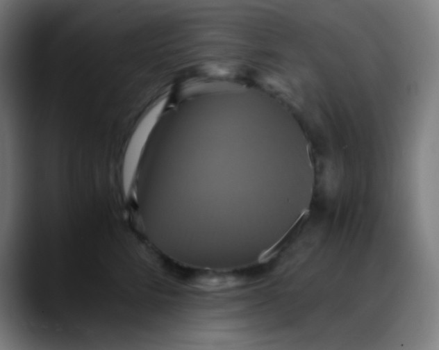 X0000089730712200707121449