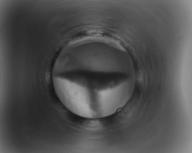 X0000089730715200707121449