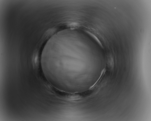 X0000089730716200707121449
